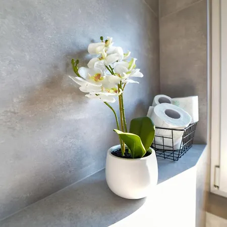 Comfort Appartement