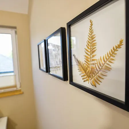 Comfort Appartement